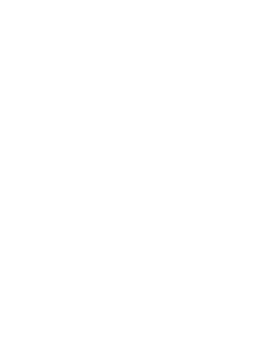 Standraft logo